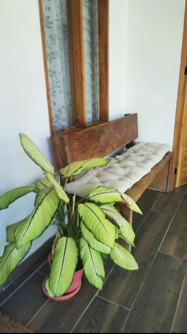 Casa Paraiso Manzanillo  Екстериор снимка