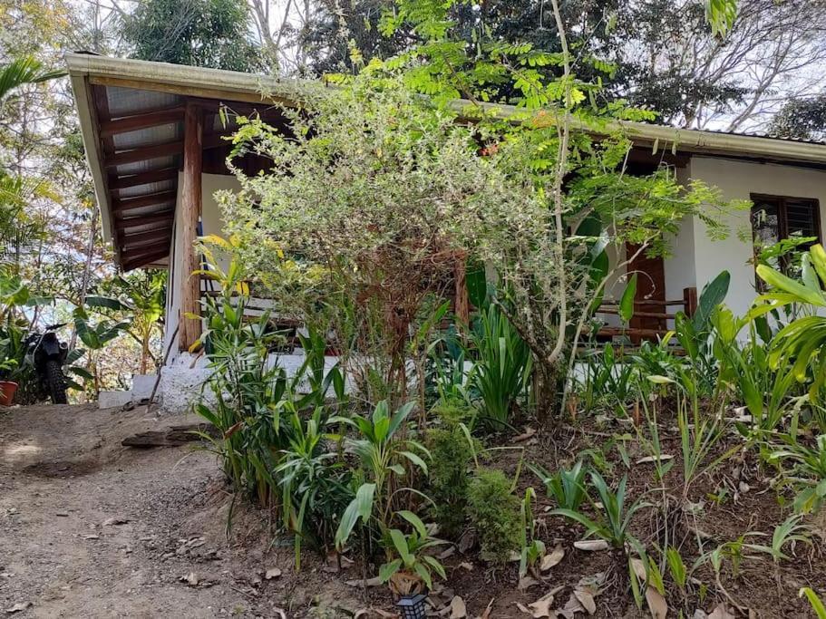 Casa Paraiso Manzanillo  Екстериор снимка